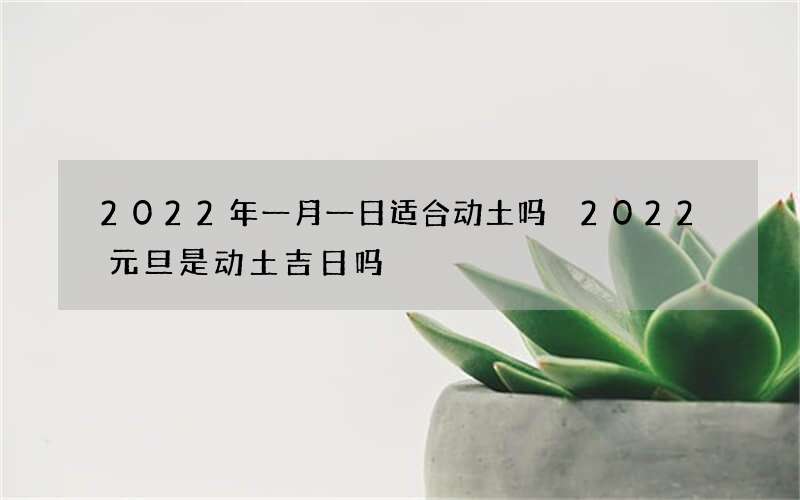 2022年一月一日适合动土吗 2022元旦是动土吉日吗